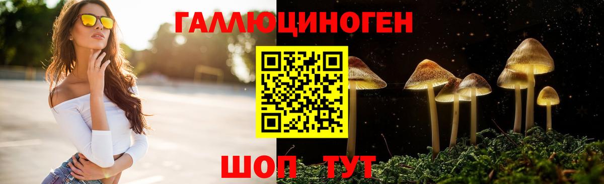 Псилоцибиновые грибы Psilocybine cubensis  закладка  Кировск  Вход с VPN 