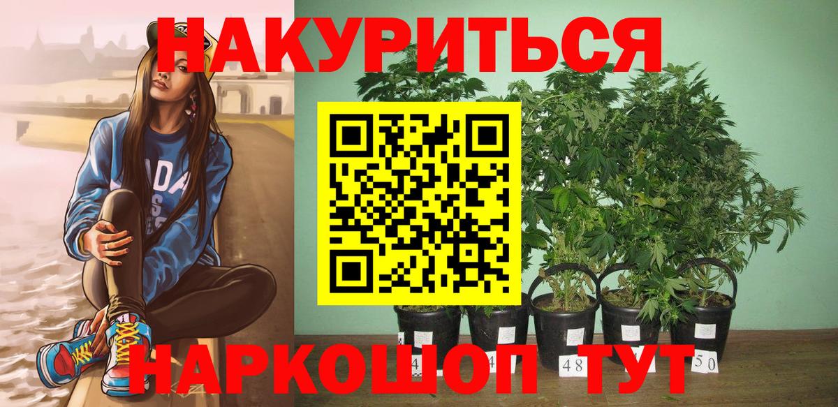 Конопля конопля Кировск